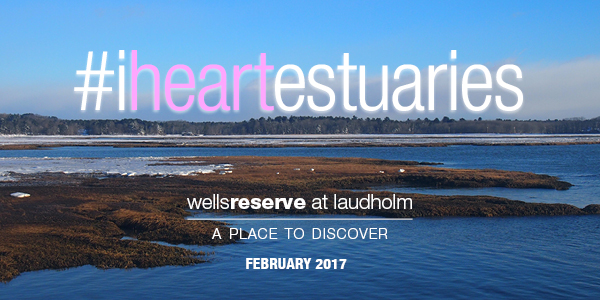 hashtag I Heart Estuaries. Scene of Webhannet Estuary in winter.